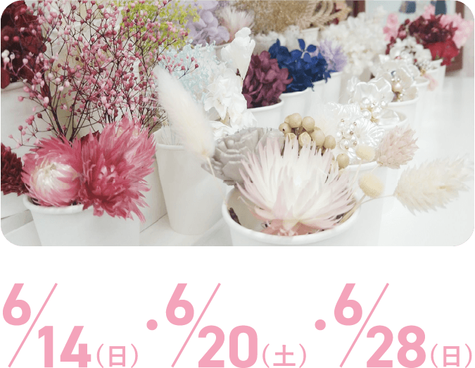 6/14(日)・6/20(土)・6/28(日)