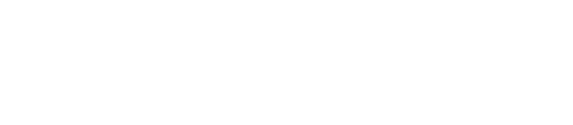 新作振袖 大展示会